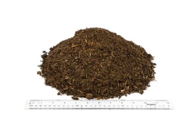 The Beginner’s Guide to Soil pH and Nutrient Levels