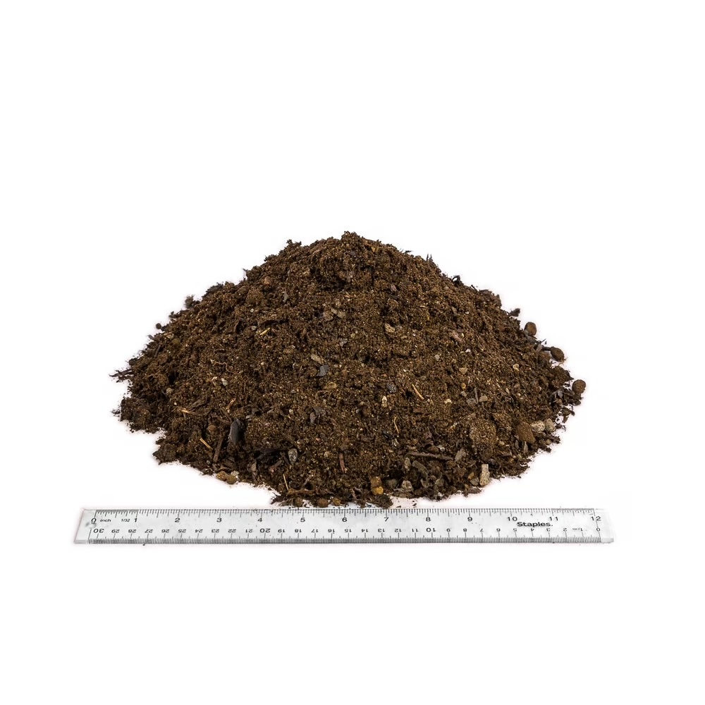 bioretention soil