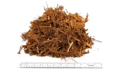 How to Use “Gorilla Hair” Mulch for Slope Erosion Control: A Guide for San Diego Homeowners