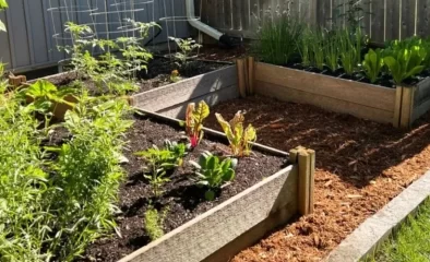 Which Wood Chips Support San Diego’s Pollinator Habitats?