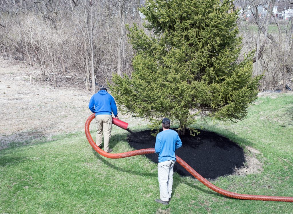 mulch