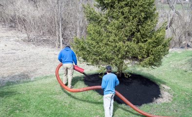 The “Hidden” ROI of Bulk Mulch for Property Managers