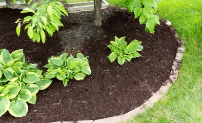 How to Mulch Flower Beds?
