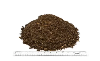 Best Mulch for Vegetable Gardens: Boosting Yields with Organic Matter