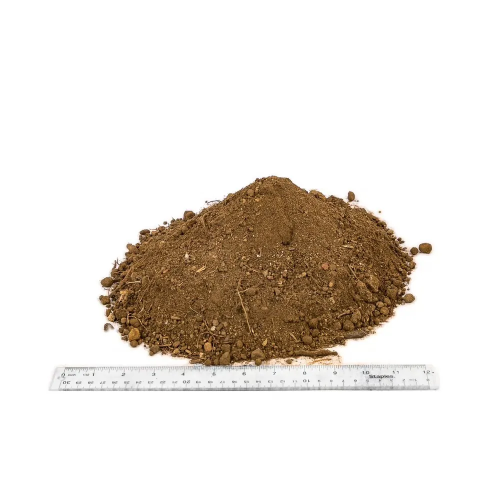 pH of Soil