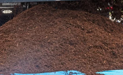 5 Signs It’s Time to Replace Your Mulch