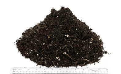 The Complete Guide to Soil Types