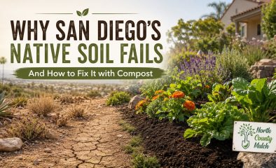 Why San Diego’s Native Soil Fails And How to Fix It with Compost